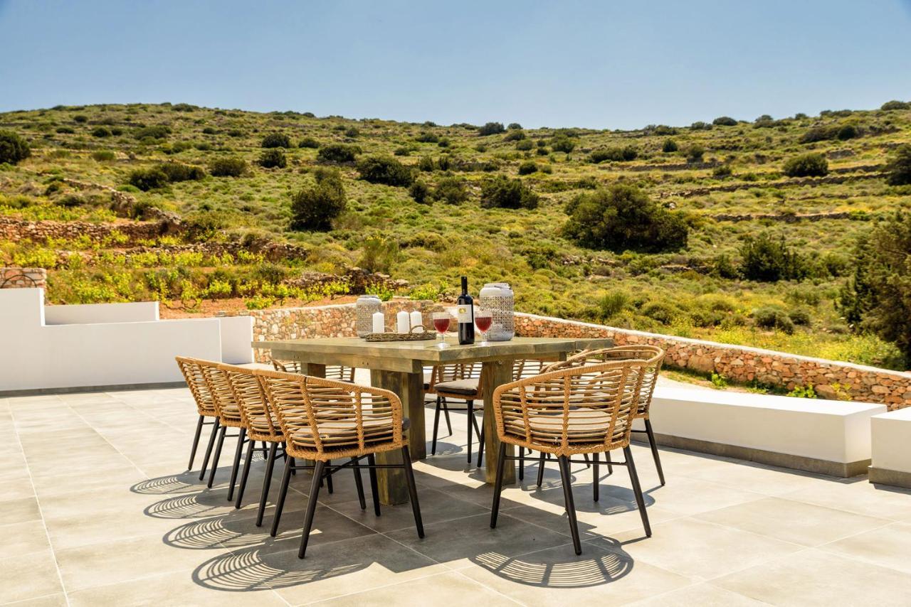 Paros Villa Blue Senses Алікі Екстер'єр фото